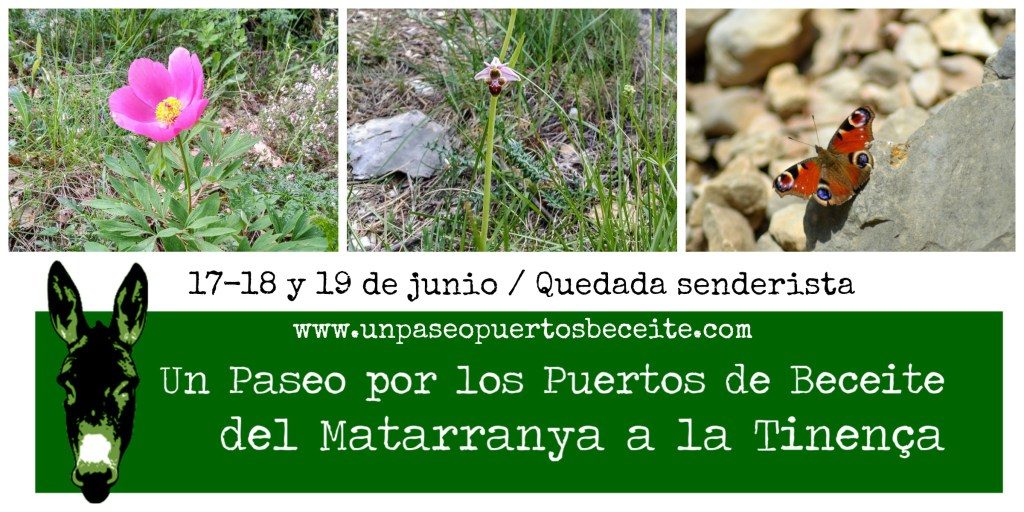 senderismo puertos beceite el boixar beseit matarranya