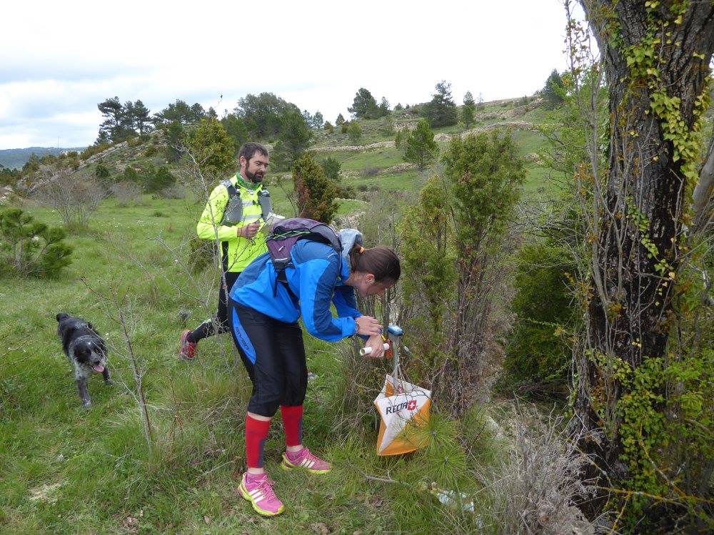 rogaine tinença casa refugi el boixar
