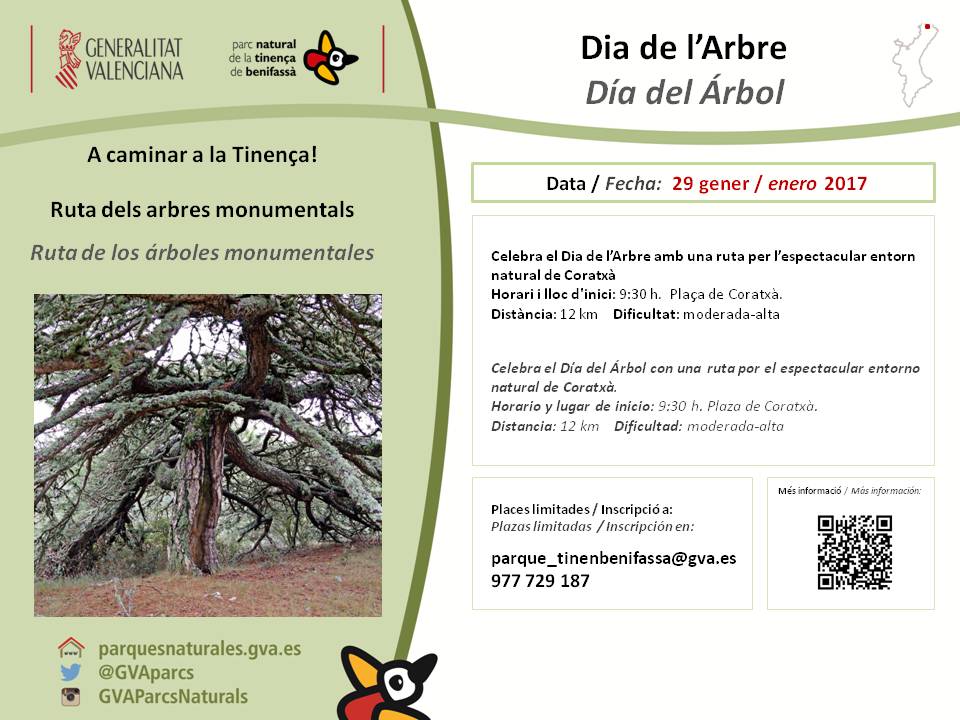 rutas guiadas tinença de benifassà alojamiento rural
