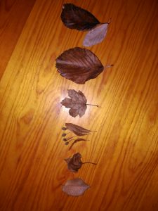 alojamiento rural tinença de benifassà el boixar casa rural senderismo