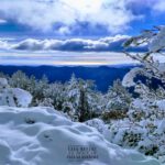 Paisatge Nevat. 2_BAIXA-1